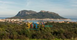 Exclusive Modern Style Complex 150 Metres from the Beach, North East Sardinia