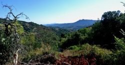 3,6 Ha Land and 280 M2 Farmhouse for Sale in Medieval Luogosanto, 20 Km from the Sea, North  Sardinia