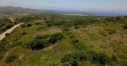 2,7 Ha Buildable Land for Sale Near the Sea in Aglientu, North Sardinia