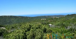 Fantastic 2,7 Ha Land and Unfinished Villa With Sea Views in Aglientu, North East Sardinia