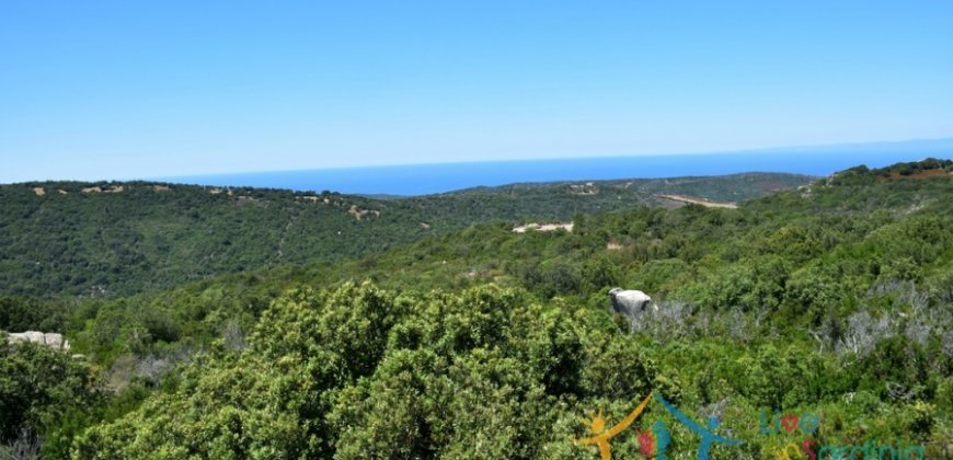 Fantastic 2,7 Ha Land and Unfinished Villa With Sea Views in Aglientu, North East Sardinia