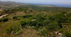 2,7 Ha Buildable Land for Sale Near the Sea in Aglientu, North Sardinia