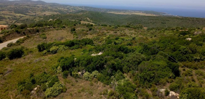 2,7 Ha Buildable Land for Sale Near the Sea in Aglientu, North Sardinia