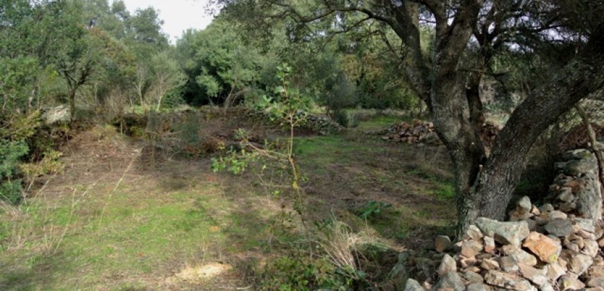 Fabolous 6 Ha Land and 130 M2 Farmhouse for Sale in Arzachena 17 Km from Porto Cervo