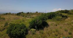 2,7 Ha Buildable Land for Sale Near the Sea in Aglientu, North Sardinia