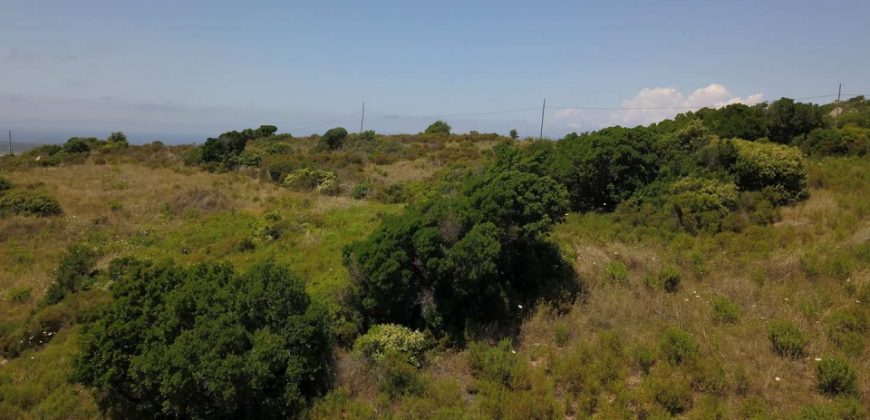 2,7 Ha Buildable Land for Sale Near the Sea in Aglientu, North Sardinia