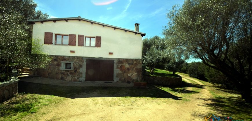 Cosy House For Sale In Porto Rotondo, 10 Km From Olbia, North Sardinia