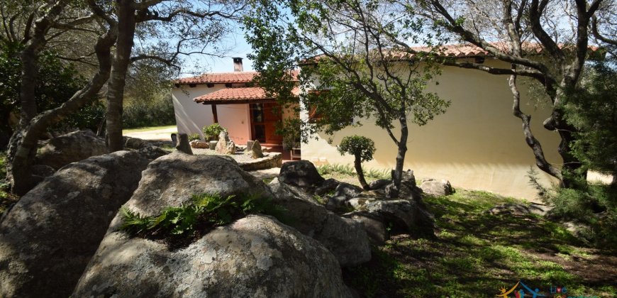 Cosy House For Sale In Porto Rotondo, 10 Km From Olbia, North Sardinia