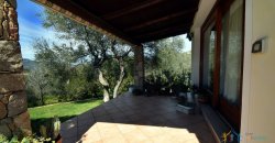 Cosy House For Sale In Porto Rotondo, 10 Km From Olbia, North Sardinia