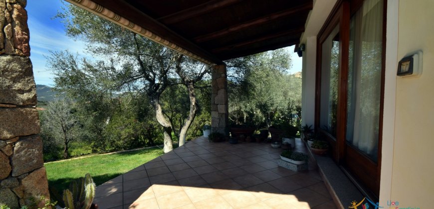 Cosy House For Sale In Porto Rotondo, 10 Km From Olbia, North Sardinia