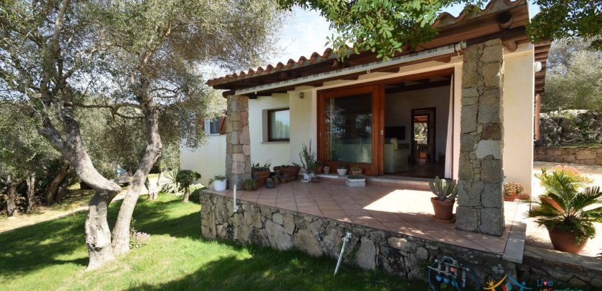 Cosy House For Sale In Porto Rotondo, 10 Km From Olbia, North Sardinia