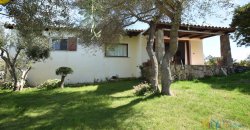 Cosy House For Sale In Porto Rotondo, 10 Km From Olbia, North Sardinia