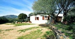 Cosy House For Sale In Porto Rotondo, 10 Km From Olbia, North Sardinia