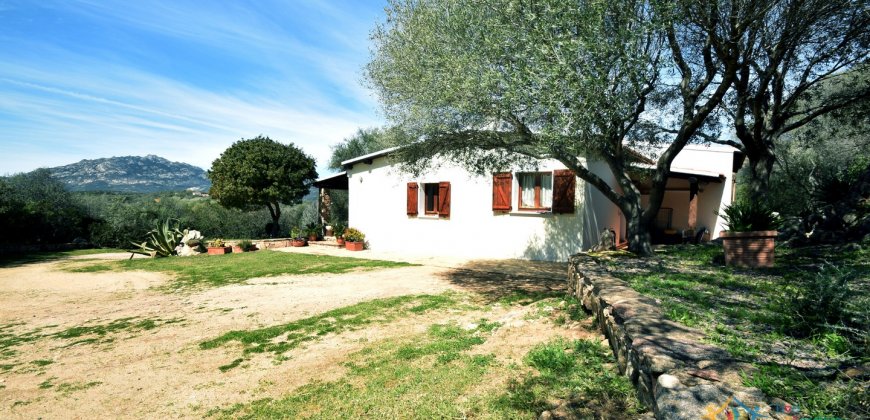 Cosy House For Sale In Porto Rotondo, 10 Km From Olbia, North Sardinia