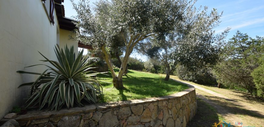 Cosy House For Sale In Porto Rotondo, 10 Km From Olbia, North Sardinia