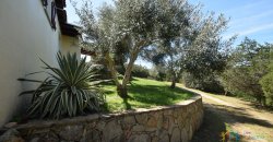 Cosy House For Sale In Porto Rotondo, 10 Km From Olbia, North Sardinia