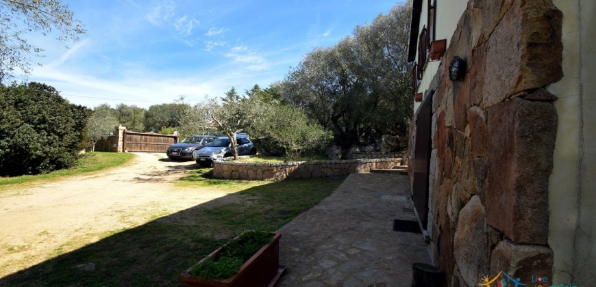 Cosy House For Sale In Porto Rotondo, 10 Km From Olbia, North Sardinia