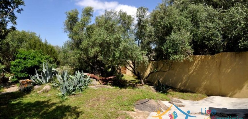 150 M2 Semi-Detached Farmhouse With 1 Ha Land for Sale in San Pantaleo, North Sardinia