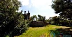 150 M2 Semi-Detached Farmhouse With 1 Ha Land for Sale in San Pantaleo, North Sardinia