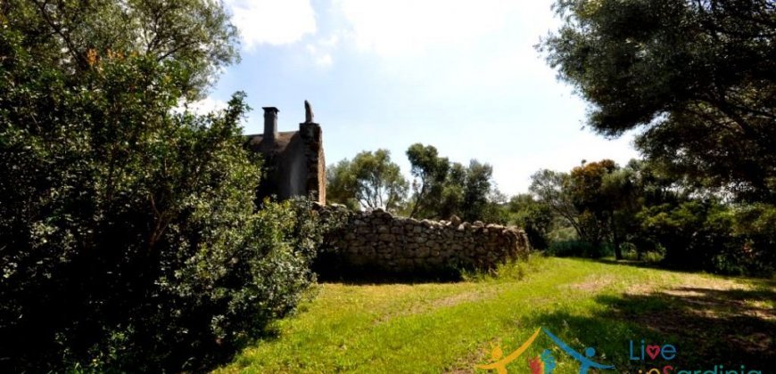 150 M2 Semi-Detached Farmhouse With 1 Ha Land for Sale in San Pantaleo, North Sardinia