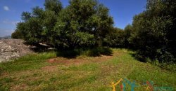 150 M2 Semi-Detached Farmhouse With 1 Ha Land for Sale in San Pantaleo, North Sardinia