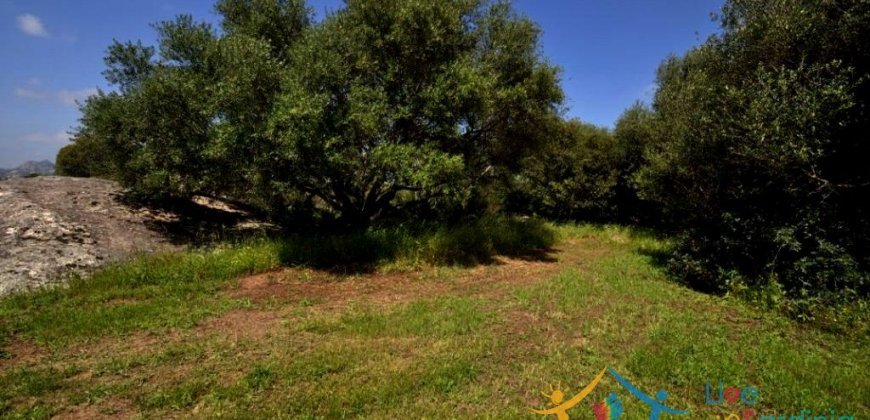 150 M2 Semi-Detached Farmhouse With 1 Ha Land for Sale in San Pantaleo, North Sardinia