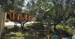 150 M2 Semi-Detached Farmhouse With 1 Ha Land for Sale in San Pantaleo, North Sardinia