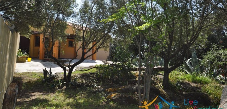 150 M2 Semi-Detached Farmhouse With 1 Ha Land for Sale in San Pantaleo, North Sardinia