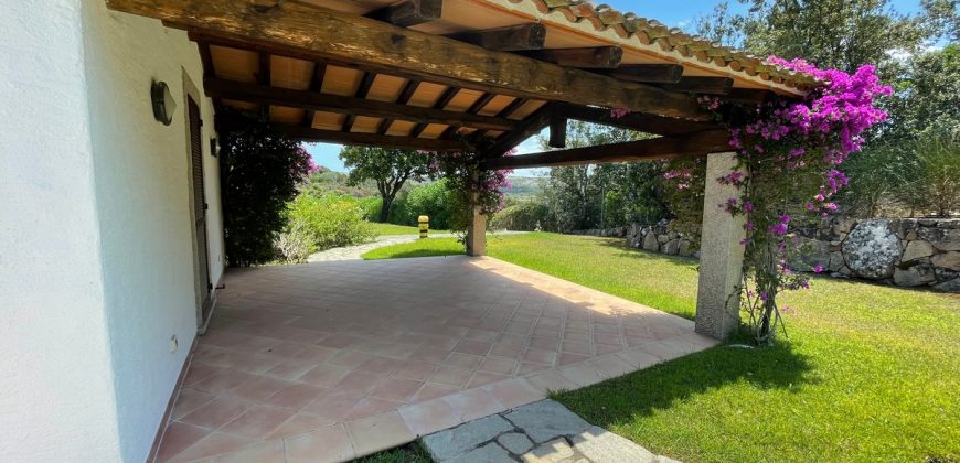 Fabulous Sardinia Villas For Sale Near Palau Cannigione Ref Lignamu