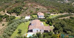 Magnificent Villas With Large Land and Sea Views for Sale Near Palau, Northern Sardinia