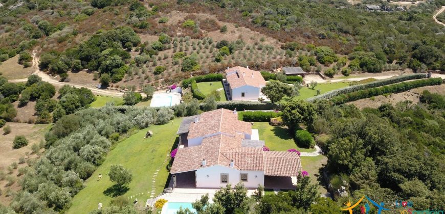 Fabulous Sardinia Villas For Sale Near Palau Cannigione Ref Lignamu
