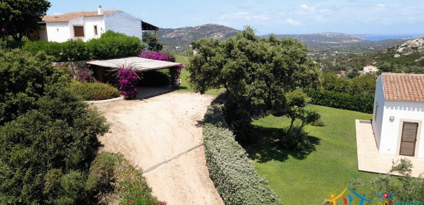 Fabulous Sardinia Villas For Sale Near Palau Cannigione Ref Lignamu