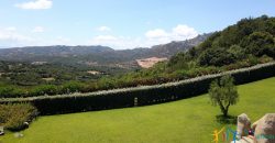 Fabulous Sardinia Villas For Sale Near Palau Cannigione Ref Lignamu
