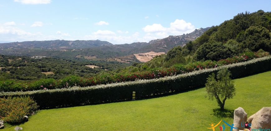 Fabulous Sardinia Villas For Sale Near Palau Cannigione Ref Lignamu
