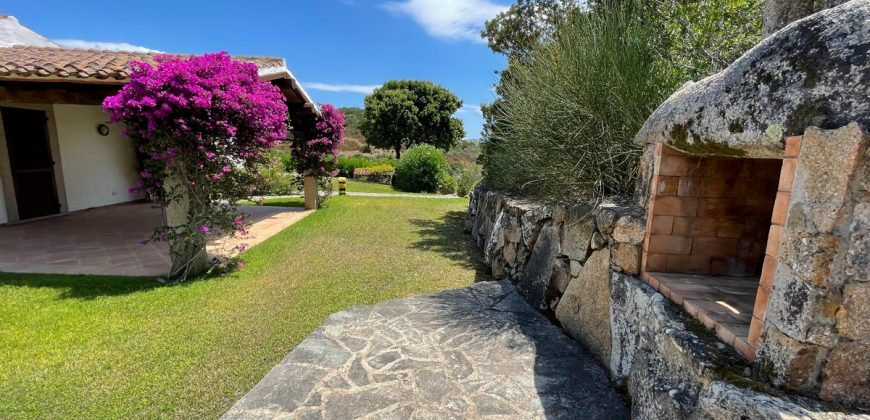 Fabulous Sardinia Villas For Sale Near Palau Cannigione Ref Lignamu