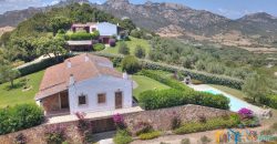 Fabulous Sardinia Villas For Sale Near Palau Cannigione Ref Lignamu