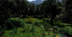 Unfinished 220 M2 Detached Home and 2,3 Ha Land for Sale in Calangianus, North East Sardinia