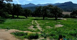 Unfinished 220 M2 Detached Home and 2,3 Ha Land for Sale in Calangianus, North East Sardinia