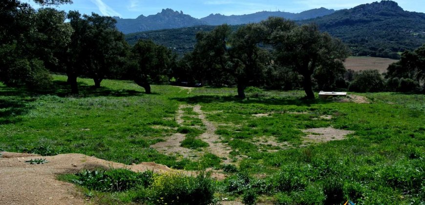 Unfinished 220 M2 Detached Home and 2,3 Ha Land for Sale in Calangianus, North East Sardinia