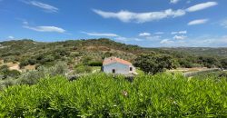 Fabulous Sardinia Villas For Sale Near Palau Cannigione Ref Lignamu