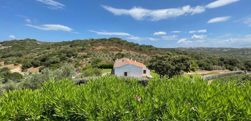 Fabulous Sardinia Villas For Sale Near Palau Cannigione Ref Lignamu