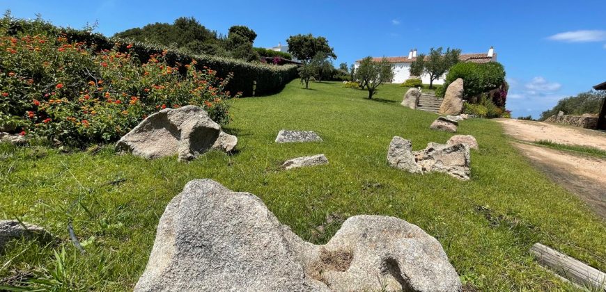 Fabulous Sardinia Villas For Sale Near Palau Cannigione Ref Lignamu