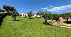 Magnificent Villas With Large Land and Sea Views for Sale Near Palau, Northern Sardinia