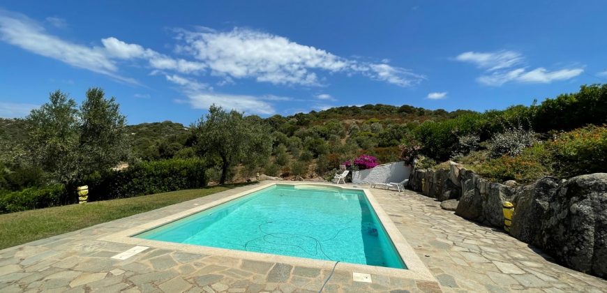 Fabulous Sardinia Villas For Sale Near Palau Cannigione Ref Lignamu