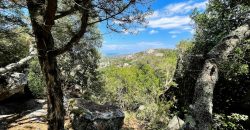 Fabulous Sardinia Villas For Sale Near Palau Cannigione Ref Lignamu