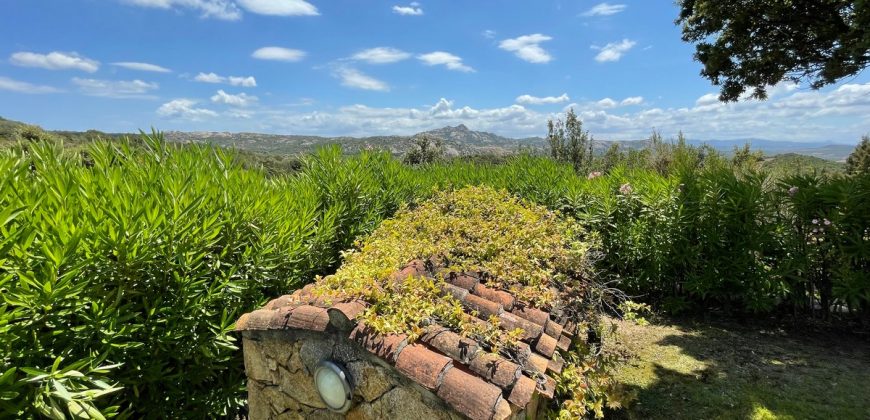 Fabulous Sardinia Villas For Sale Near Palau Cannigione Ref Lignamu