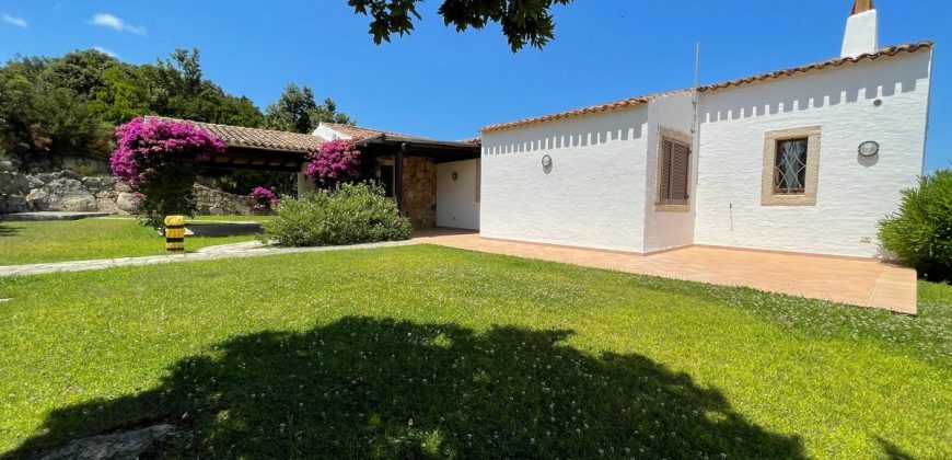 Fabulous Sardinia Villas For Sale Near Palau Cannigione Ref Lignamu