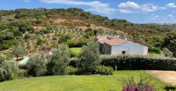 Fabulous Sardinia Villas For Sale Near Palau Cannigione Ref Lignamu