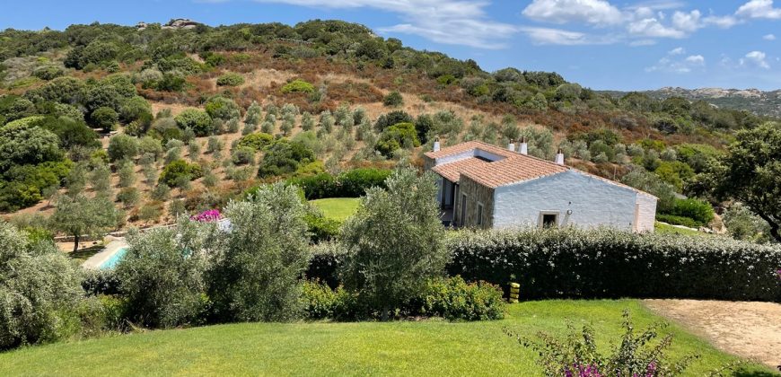 Fabulous Sardinia Villas For Sale Near Palau Cannigione Ref Lignamu