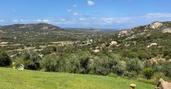 Fabulous Sardinia Villas For Sale Near Palau Cannigione Ref Lignamu